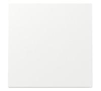 Gira 329670 bilanciere bianco puro lucido