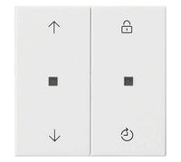 Gira 4010337052364 - Inserto di comando radio, frecce, sistema 55, colore: Bianco puro