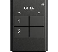 GIRA 535210 - Handheld - RF Wireless - Wireless - 2 channels - 868.3 MHz - 20