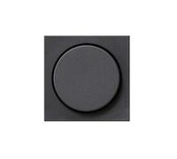 GIRA 65028 0650 28 - Anthracite - - 1 pc(s)