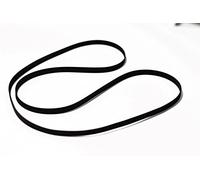 GIRADISCHI CINGHIA TRAZIONE PIATTA COMPATIBILE CON LINN SONDEK LP-12 GIRADISCHI Prodotto Europeo di Produzione Recente LP 12 LP12