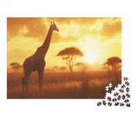 Giraffa africana in piedi nella savana dorata 1000pcs (75x50cm) - Tramontot Puzzle Per Adulti GioGattotolo Fai-da-te