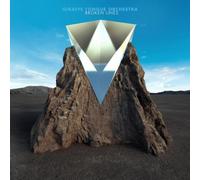 Giraffe Tongue Orchestra Broken Lines (Vinyl LP) 12" Album