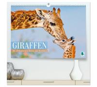 Giraffen: Die afrikanischen Riesen mit Weitblick (hochwertiger Premium Wandkalender 2026 DIN A2 quer), Kunstdruck in Hochglanz: Eleganz in der Savanne: Netzgiraffe, Massai Giraffe, Rothschild Giraffe