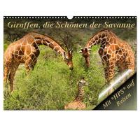 Giraffen, die Schönen der Savanne (Wandkalender 2026 DIN A3 quer), CALVENDO Monatskalender: Eine Safari in Kenia ist ein Erlebnis, das sie nie vergessen werden.
