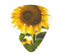 Girasole,12 pezzi di plettri per chitarra, 3 plettri di diverso spessore per chitarra acustica, basso, ukulele