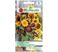 Girasole medio-alto singolo per fiori recisi, miscela