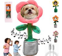 Girasole Personalizzato che Canta e Danza Fiore- Giocattolo Interattivo Ricaricabile con Custodia Regalo, Aggiungi Foto/Testo, Regalo Perfetto per Compleanni e Feste，Ripete ciò che Dici, (Pink)