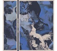 Girls in airports - Dive ( vinyl )