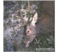 Girls in Hawaii - Plan Your Escape