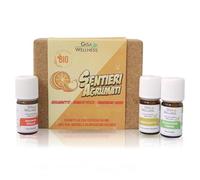 Gisa Wellness - SENTIERI AGRUMATI - Kit di 3 Oli Essenziali da [5ml] - 100% puri,naturali e BIO di Bergamotto, Arancio Dolce e Mandarino Verde - per Aromaterapia - Benessere e Relax - Made in Italy