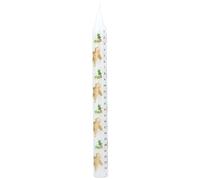Gisela Graham Candela dell'Avvento con pan di zenzero, 23 cm