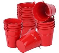 Gishbjka Mini Secchiello di, per Caramelle di Halloween, 20 Pezzi Secchielli di Metallo Piccoli con Manico, Regali per Feste, Giardino per Succulente