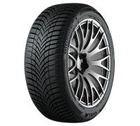 Giti GITIWINTER W2 205/60 R16 96H auto Pneumatici invernali Pneumatici 100A4594H