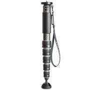 Gitzo GM4562 eXact Monopiede in carbonio serie 4