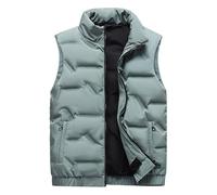 giubbotto smanicato da uomo,Gilet Uomo Invernale Trapuntato Moda Giubbino Giacca Casual 100 Grammi Autunno Inverno Gilet Effetto Lucido Leggero Giubbotto Smanicato Caldo Piumino