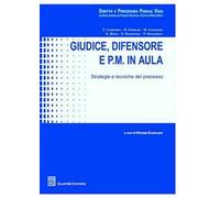 Giudice, difensore e P.M. in aula. Strategie e tecniche del processo