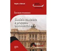 Giudizio cautelare e processo amministrativo