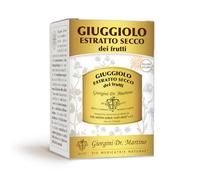 GIUGGIOLO ESTRATTO SECCO dei frutti polvere solubile - 150 g