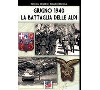 Giugno 1940: la battaglia delle Alpi. Ediz. illustrata