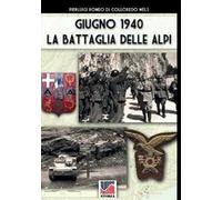 Giugno 1940: la battaglia delle Alpi. Ediz. illustrata