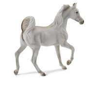 Giumenta Araba Grigia Collecta cod. 88476
