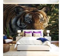 Giungla Carta da Parati Murale Tigre animale Foto Wallpaper 450x315 cm Grande Murale TNT Fotomurali Decor da Muro Poster per Camere da Letto Cucine Soggiorni Bambini