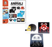 Giunti Animali Flash Card Alta Leggibilita' 57131A