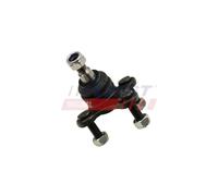 FAST FT17030 Testina braccio oscillante