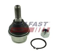 Giunto a ginocchiera per IVECO DAILY