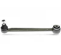 Giunto barra stabilizzatrice Assale posteriore Sx Asta di guida G7-006 OPTIMAL