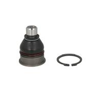 Giunto di sospensione DELPHI TC2431