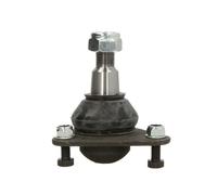 Delphi Giunto di sospensione TC297 per Renault Master I Autobus Anteriore basso Sx/Dx