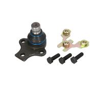 REINHOCH RH03-0007 Testina braccio oscillante