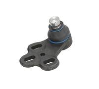 REINHOCH RH03-0013 Testina braccio oscillante