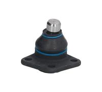 Giunto di sospensione REINHOCH RH03-0018