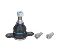 REINHOCH RH03-0038 Testina braccio oscillante