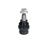 REINHOCH Testina braccio oscillante RH03-0039 per AUDI A5 (8T3) 2008-2013