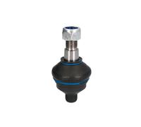 REINHOCH RH03-1001 Testina braccio oscillante