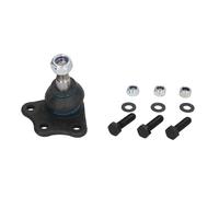 REINHOCH RH03-1005 Testina braccio oscillante