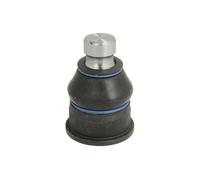 REINHOCH RH03-2005 Testina braccio oscillante