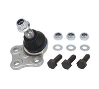 Giunto di sospensione REINHOCH RH03-2031