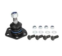 REINHOCH RH03-2035 Testina braccio oscillante