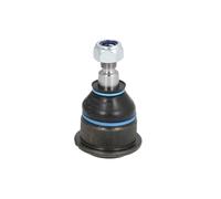 REINHOCH RH03-3005 Testina braccio oscillante