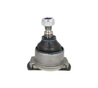 REINHOCH RH03-3010 Testina braccio oscillante
