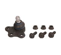 REINHOCH RH03-5001 Testina braccio oscillante bilaterale