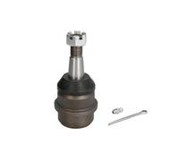 REINHOCH RH03-6001 Testina braccio oscillante