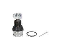 REINHOCH RH03-6002 Testina braccio oscillante