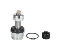 REINHOCH RH03-6004 Testina braccio oscillante