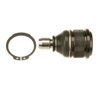 Giunto sferico TRW JBJ822 per MAZDA 3 (BK) 1.3 2003-2009